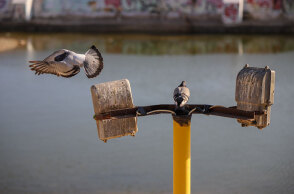 Η εορτή του Αγίου Πνεύματος γιορτάζεται 7 εβδομάδες μετά το Πάσχα