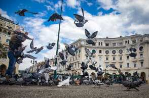 Περιστέρια στη Θεσσαλονίκη