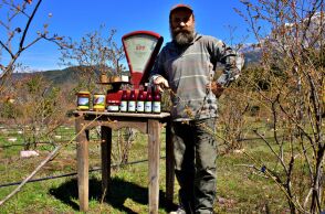 Blueberry Farm: Τα καταπληκτικά μύρτιλα από τα Τζουμέρκα