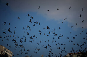 Το τριήμερο του Αγίου Πνεύματος 2022 είναι ένα από τα τέσσερα που απομένουν μέχρι να φύγει η χρονιά