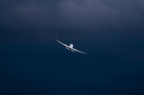 Φλόριντα: Επιβάτης προσγείωσε Cessna χωρίς να ξέρει από αεροπλάνα