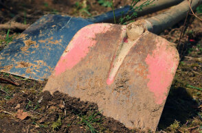 Γυναικοκτόνος στη Νότια Καρολίνα πέθανε από ανακοπή την ώρα που έθαβε τη σύντροφό του στον κήπο