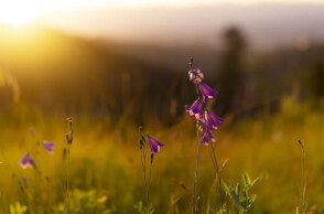 Ο καιρός σήμερα Τρίτη 17 Μαΐου 2022 αναμένεται γενικά αίθριος, σύμφωνα με την ΕΜΥ