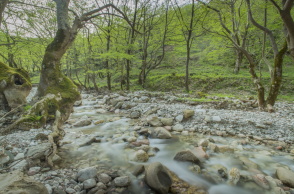 Φωτογραφία από τις πηγές Γκούρα του νερού Θεόνη  στην οροσειρά των Αγράφων.