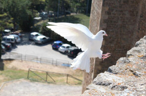 Τη Δευτέρα 13 Ιουνίου 2022 το τριήμερο του Αγίου Πνεύματος