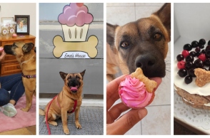 Η Ειρήνη, η Ema και οι σκυλολιχουδιές