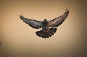 Του Αγίου Πνεύματος είναι τη Δευτέρα 13 Ιουνίου 2022