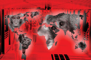 Φωτογραφία με έναν χάρτη του κόσμου.