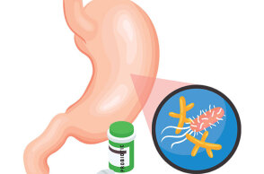 Εικονογράφηση που δείχνει το όργανο του σώματος στομάχι