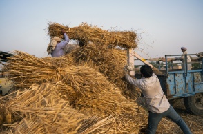 Reuters: Η Τουρκία αγόρασε κλεμμένα σιτηρά από την Ρωσία