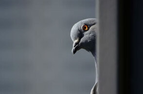 Ο καιρός το τριήμερο Αγίου Πνεύματος δεν αναμένεται να είναι σύμμαχος των εκδρομέων