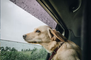 Με βροχή σε αρκετές περιοχές ο καιρός το τριήμερο Αγίου Πνεύματος 2022