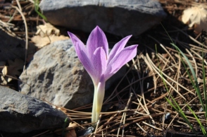 Βόρεια Εύβοια