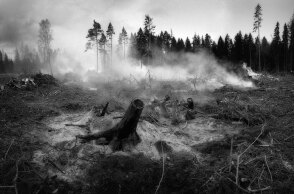 Δασικές πυρκαγιές στη Μεσόγειο μπορούν να εξελιχθούν σε megafires λόγω κλιματικής αλλαγής