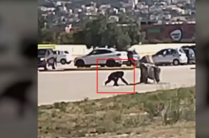 Ο χιμπατζής έξω από το Αττικό Ζωολογικό Πάρκο λίγο πριν τον πυροβολήσει και σκοτώσει ο φροντιστής