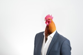 Ανδρικό σώμα με κεφάλι κόκκορα