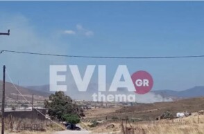 Φωτιά τώρα στην περιοχή Κάμπος Καρύστου στην Εύβοια