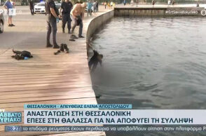 Θεσσαλονίκη: Αστυνομικός κρατά άνδρα που έπεσε στον Θερμαϊκό για να διαφύγει τη σύλληψη