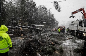 Πτώση δέντρου στη Βασιλίσσης Σοφίας