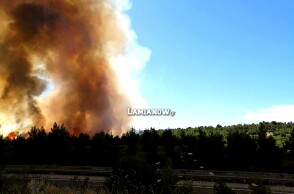Φωτιά δίπλα στην Εθνική Οδό Αθηνών - Λαμίας στο ύψος του Μαρτίνου