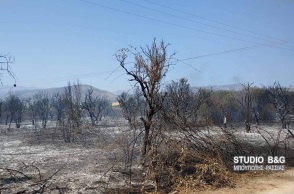 Φωτιά στη Νέα Κίο Αργολίδας 