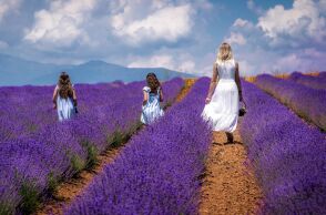 Μελενικίτσι, Σέρρες