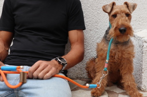 Χειροποίητο λουράκι για σκύλους hold dog