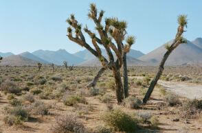 Κοιλάδα του Θανάτου στην Καλιφόρνια 