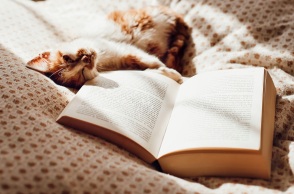 Αφιέρωμα: Μεγάλα βιβλία και πολλές σελίδες για απολαυστικά διαβάσματα τις ημέρες της καραντίνας