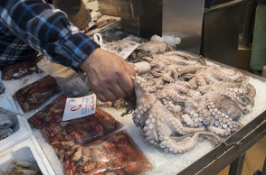  ΘΕΣΣΑΛΟΝΙΚΗ - ΣΑΡΑΚΟΣΤΙΑΝΑ 