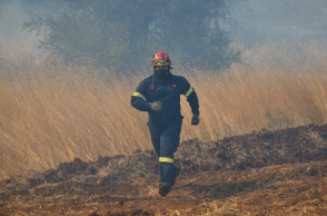 Φωτιά στα Βίλια Αττικής - Πυροσβέστης