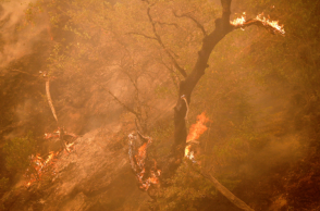 Πυρκαγιές στην Καλιφόρνια
