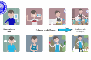 «Φως» στα μυστικά του εγκεφάλου μέσα από εκπαιδευτικά βίντεο 