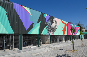 ΕΤΟΙΜΟ ΤΟ ΠΡΩΤΟ ΚΑΤΑΦΥΓΙΟ ΑΔΕΣΠΟΤΩΝ ΖΩΩΝ ΤΟΥ ΔΗΜΟΥ ΤΗΣ ΑΘΗΝΑΣ