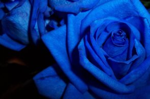 Εορτολόγιο: Σήμερα 25 Σεπτεμβρίου γιορτάζει… 