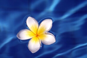 Εορτολόγιο: Σήμερα 28 Σεπτεμβρίου γιορτάζει… 