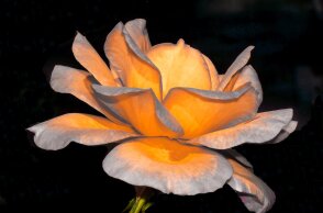 Εορτολόγιο: Σήμερα 5 Οκτωβρίου γιορτάζει…