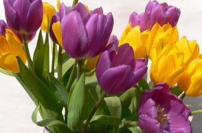 Εορτολόγιο: Σήμερα 7 Οκτωβρίου γιορτάζει…