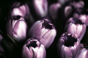 Εορτολόγιο: Σήμερα 30 Νοεμβρίου γιορτάζει…