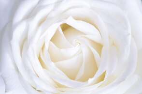 Εορτολόγιο: Σήμερα 29 Νοεμβρίου γιορτάζει...