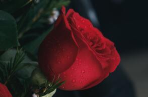 Εορτολόγιο: Σήμερα 1 Οκτωβρίου γιορτάζει… 