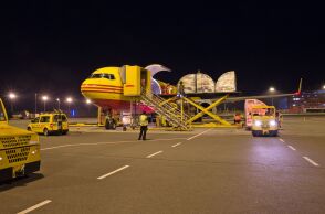 dhl_express