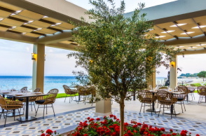 Kyma: Το εστιατόριο στη Σιθωνία και φέτος έτοιμο και φέτος να μας ταξιδέψει στον γαστρονομικό πλούτο της χώρας μας.