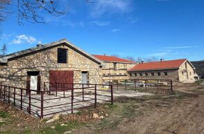 Το Νέο Βουστάσιο στο π. βασιλικό κτήμα στο Τατόι