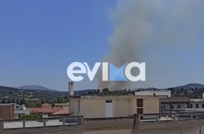 Μήνυμα από το 112 για τη φωτιά στο Αλιβέρι της Εύβοιας - «Παραμείνετε σε ετοιμότητα»