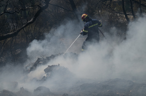 pirkagia-pirosvestes