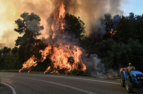 Πύρινος εφιάλτης στην Ηλεία - Πολίτες προσπαθούν να συνεισφέρουν στην κατάσβεση της πυρκαγιάς