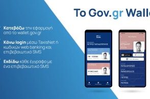 govwallet1
