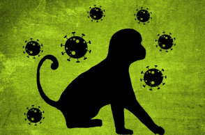 Ευλογιά των πιθήκων: Τι γνωρίζουμε σήμερα;