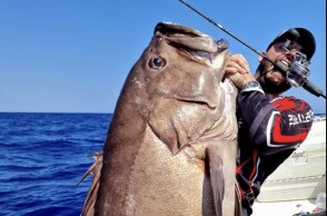 Βλαχοσφυρίδα στα χέρια ψαρά